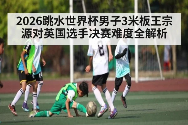 2026跳水世界杯男子3米板王宗源对英国选手决赛难度全解析